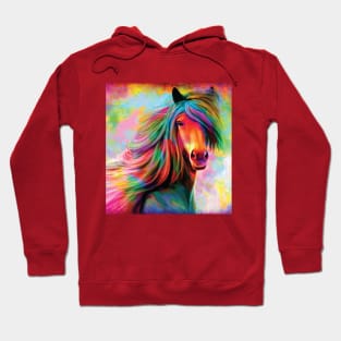 Rainbow horse Hoodie